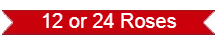12 or 24 Roses